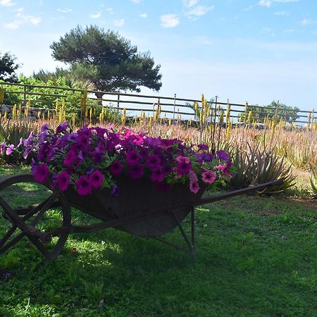 Il Giardino Delle Aloe Guest House Favignana Luaran gambar