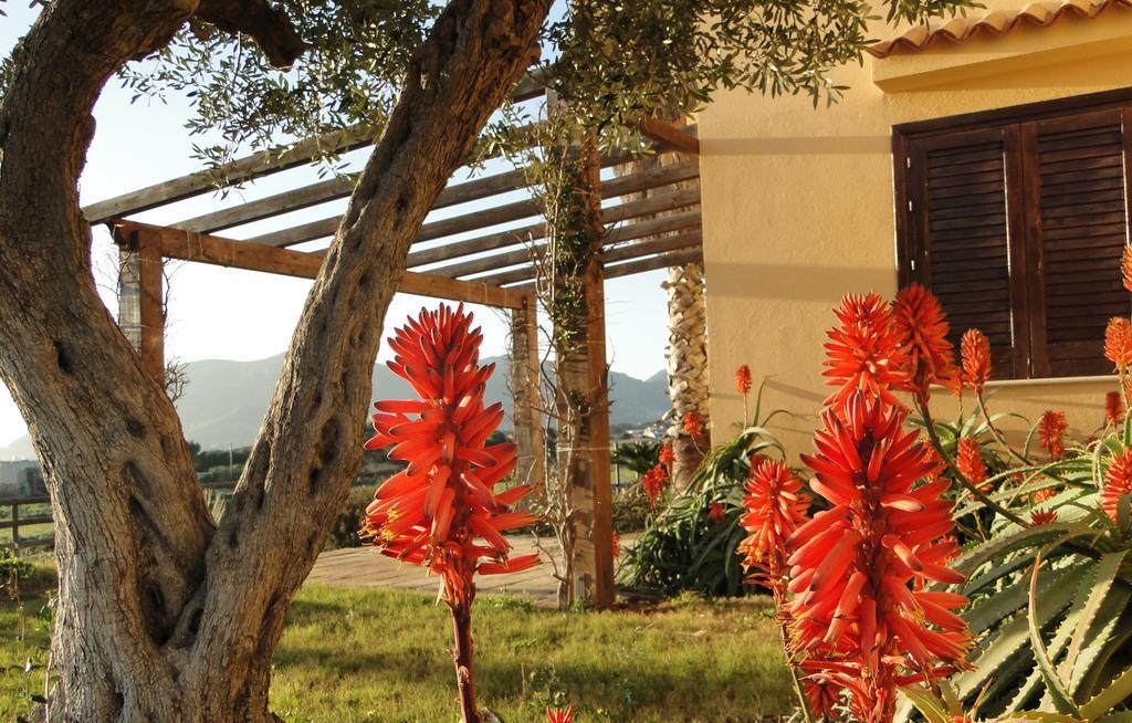 Il Giardino Delle Aloe Guest House Favignana Luaran gambar