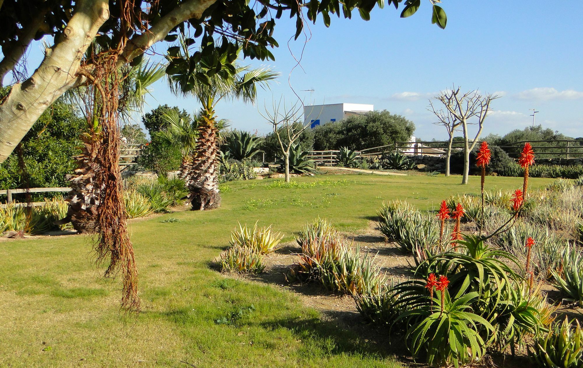 Il Giardino Delle Aloe Guest House Favignana Luaran gambar