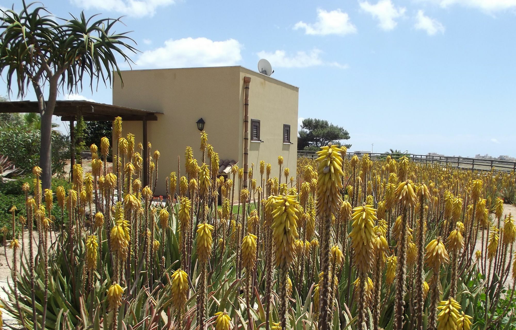 Il Giardino Delle Aloe Guest House Favignana Luaran gambar