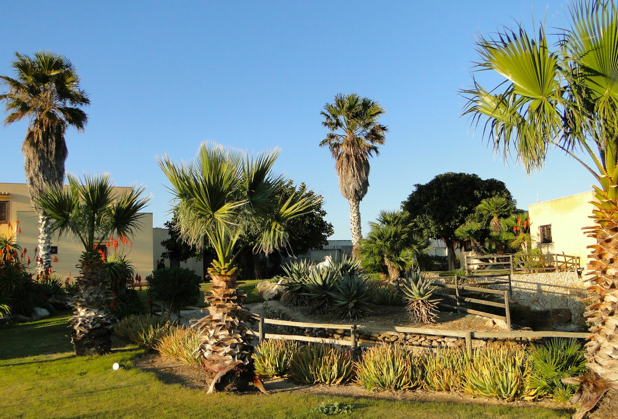 Il Giardino Delle Aloe Guest House Favignana Luaran gambar