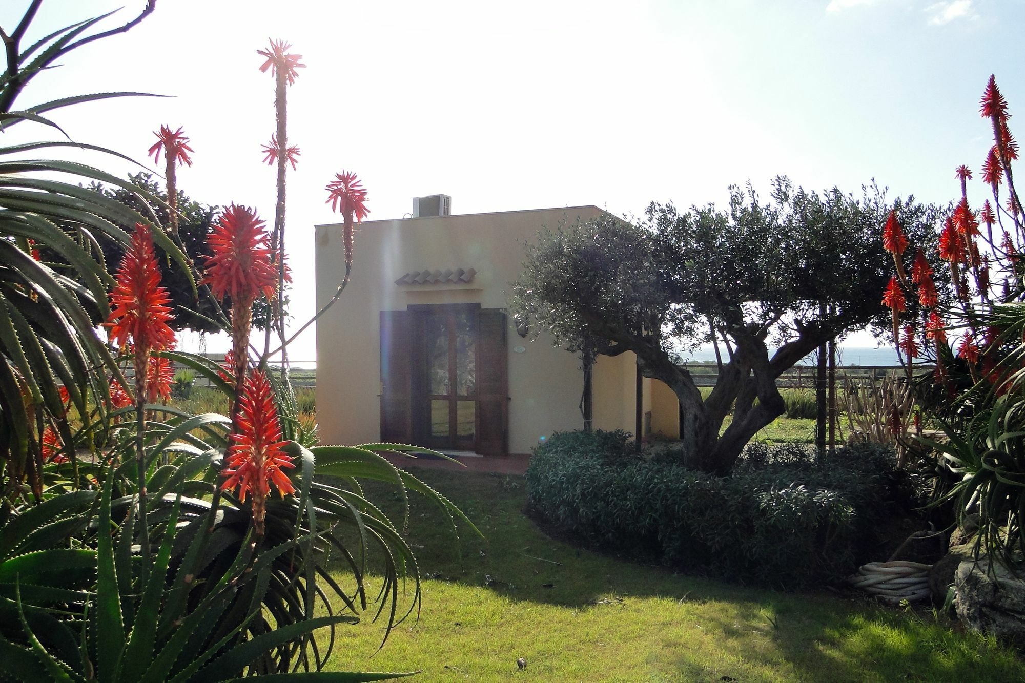 Il Giardino Delle Aloe Guest House Favignana Luaran gambar